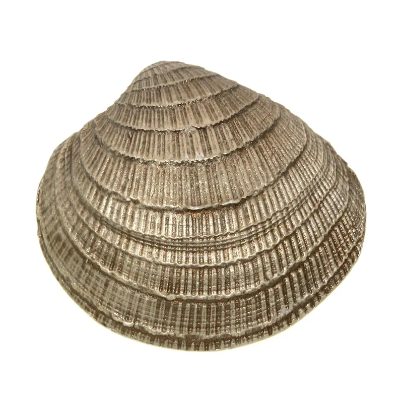 Anne at Home By the Sea Clam Shell 2 1/4" Cabinet Knob Pewter 2221-132