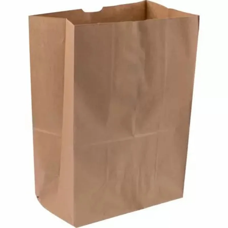 Duro Sacks Virgin Natural Kraft 1/6 BBL 12" x 7" x 17"