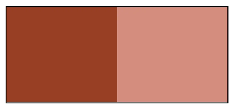 EPS & CCA NovoColor II 8800 Universal Colorant F Red Oxide