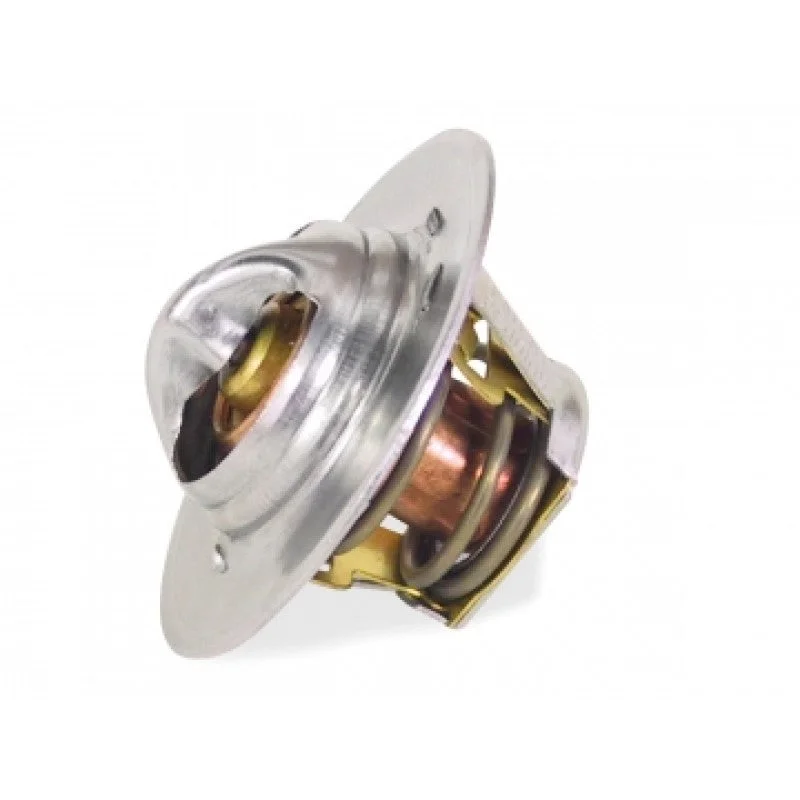 Ford Thermostat 160 Degree