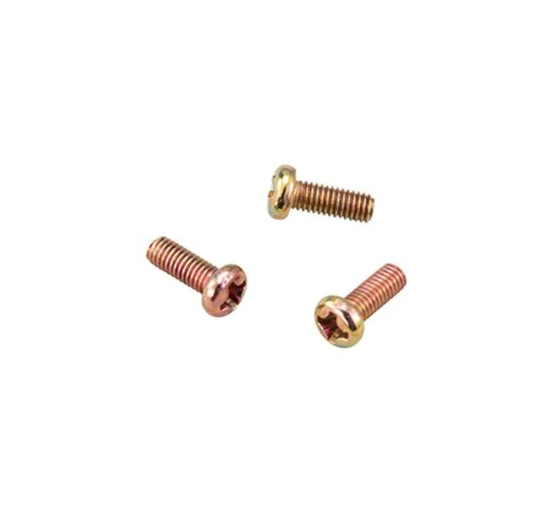Tajima TAJ-CSDR Case Screws