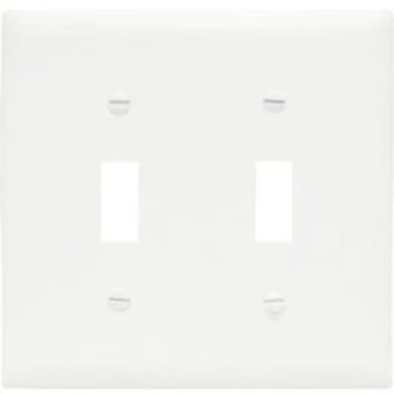White 2-Toggle Nylon Wall Plate
