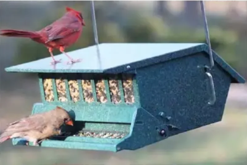 WoodLink Original Birds Delight Squirrel-Resistant Feeder