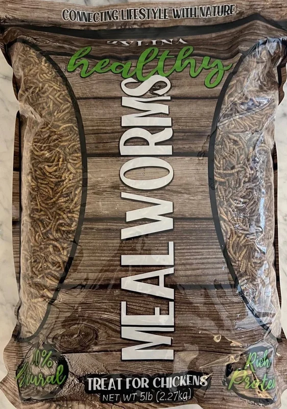 Zylina Healthy Mealworms
